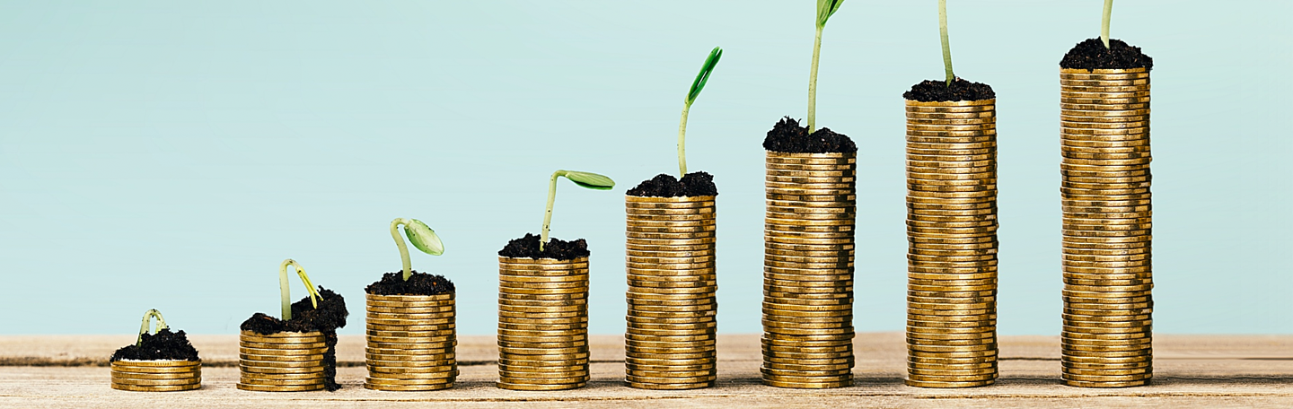 Online leads meer winst | yndenz