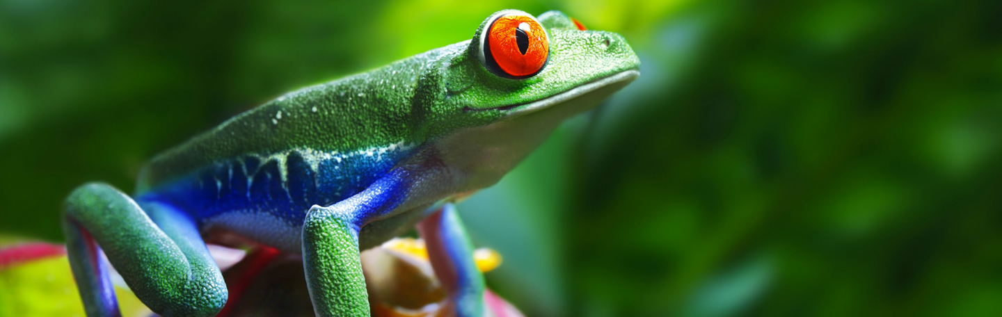 Affiliate marketing | yndenz