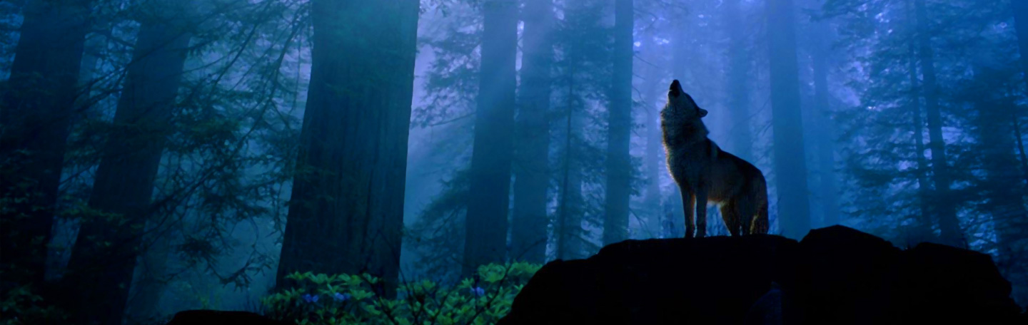 Contact opnemen | online marketingbureau yndenz