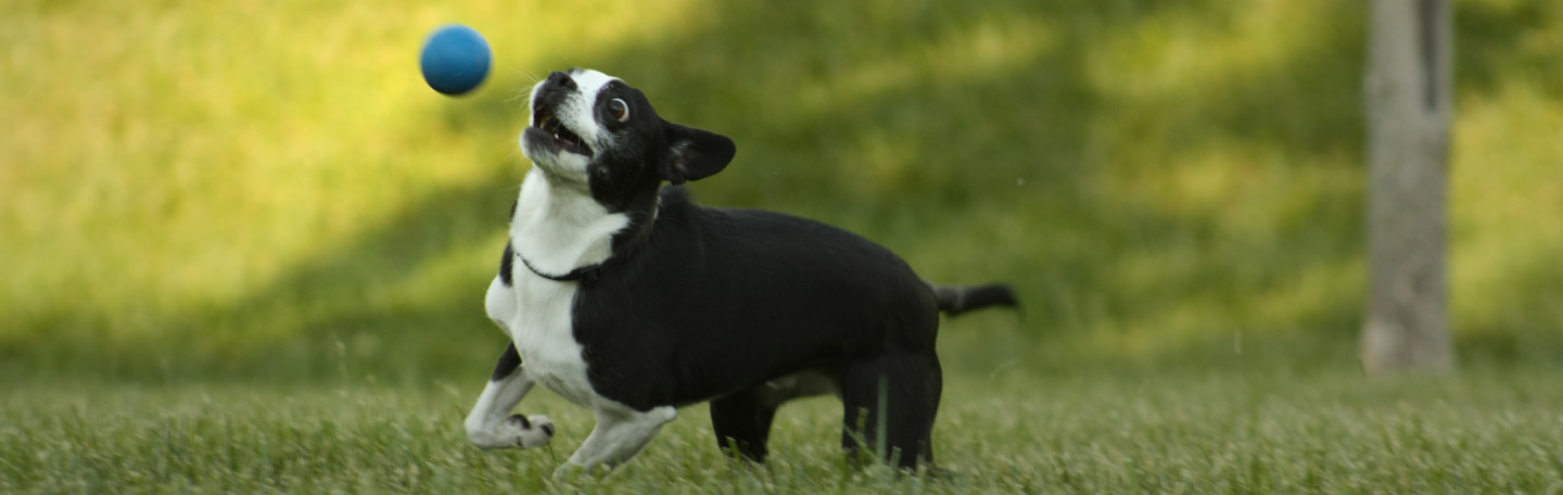 lead management | leadgeneratie managen en opvolgen | yndenz