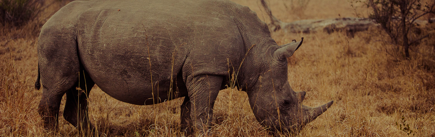 Meer conversie op uw website | yndenz