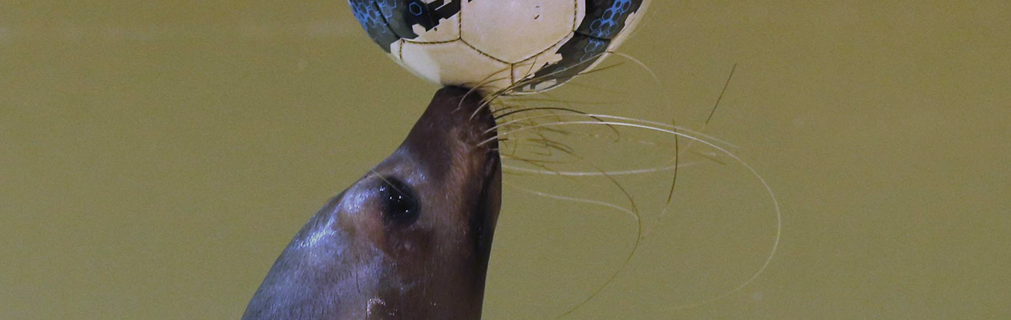 Meer grip op uw leads | yndenz Meer grip op uw leads | yndenz