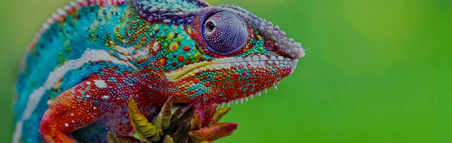 Logo en huisstijl ontwikkeling | yndenz Logo en huisstijl ontwikkeling | yndenz