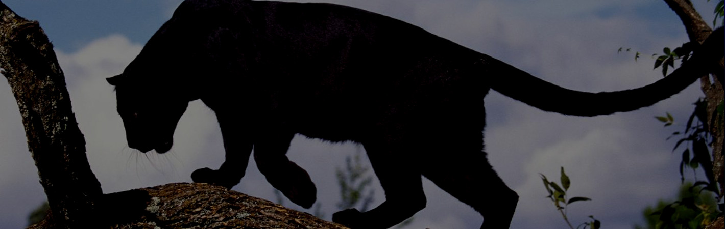 Quickscan | online marketingbureau yndenz