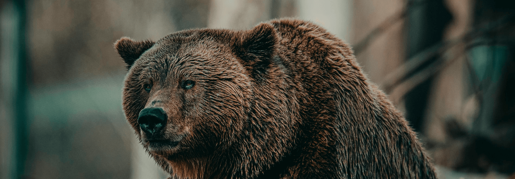 Telefonische acquisitie en opvolging | yndenz Telefonische acquisitie en opvolging | yndenz