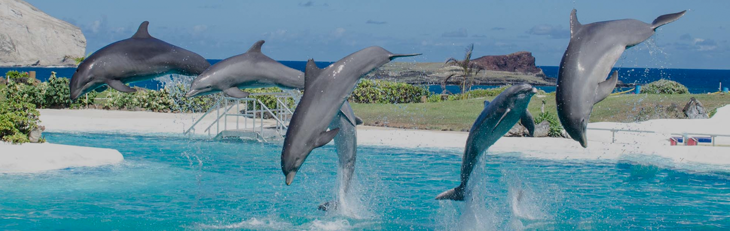 Training en coaching | yndenz