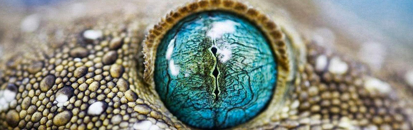 Usability onderzoek | yndenz