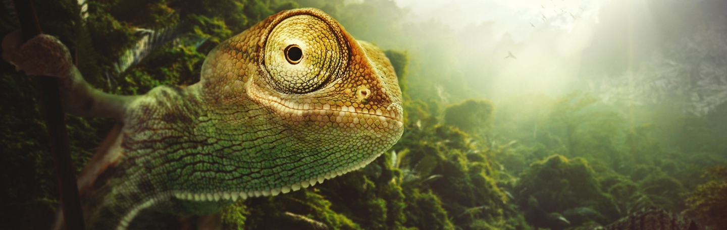 Website ontwikkeling | yndenz