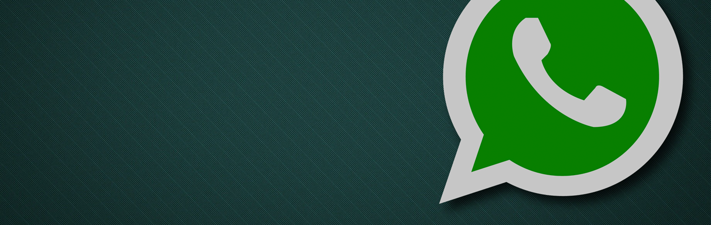 Trend: WhatsApp marketing | yndenz