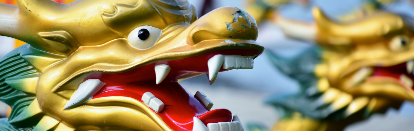 yndenz prolongeert titel in Drakenbootrace Nijkerk 2015 | yndenz yndenz prolongeert titel in Drakenbootrace Nijkerk 2015 | yndenz