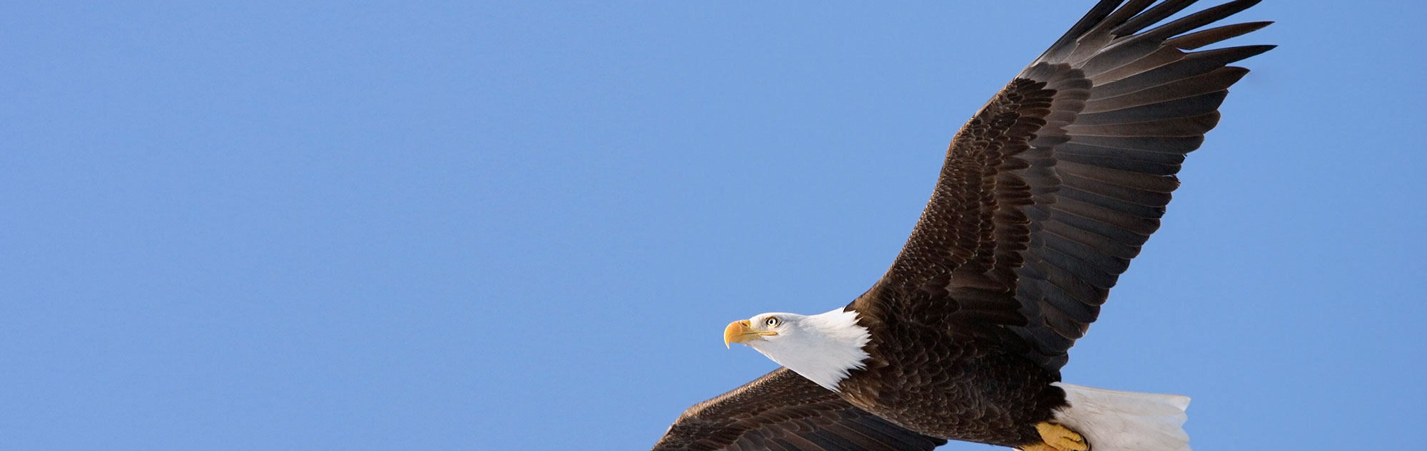 Online marketing Arnhem | SEO | yndenz