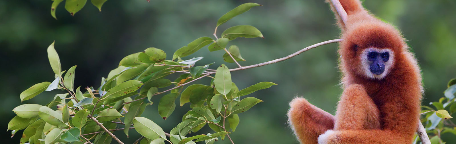 Online marketing Emmen | SEO | yndenz