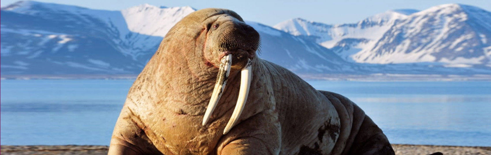 Online marketing Maastricht | SEO | yndenz