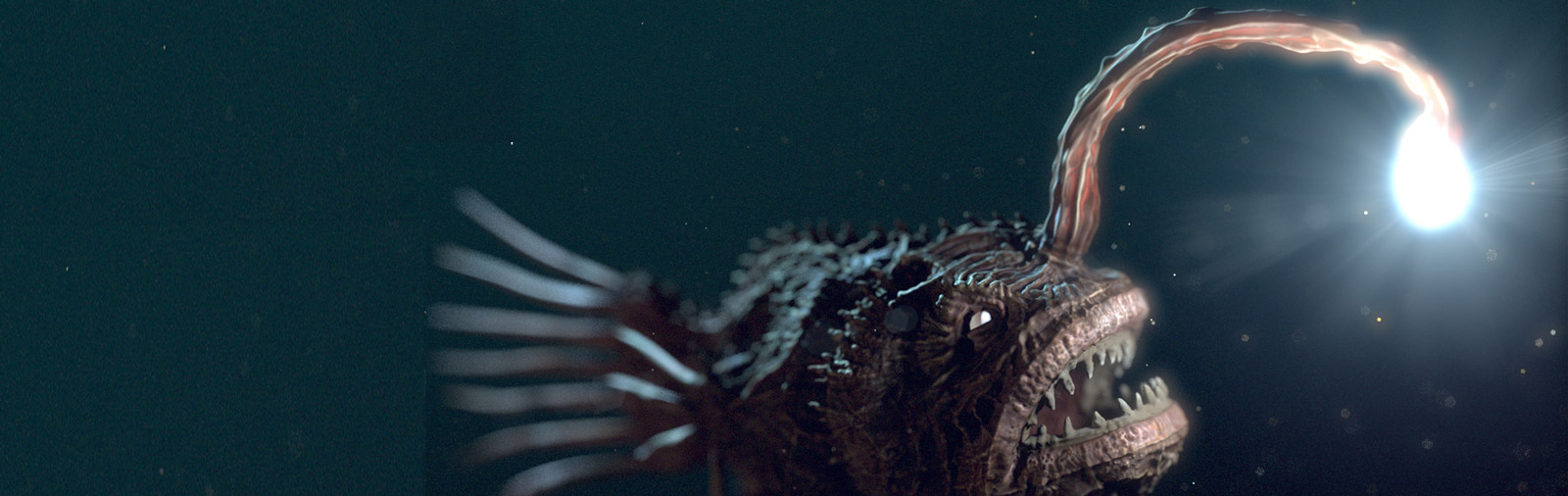 SEO Eindhoven | Online marketing bureau yndenz