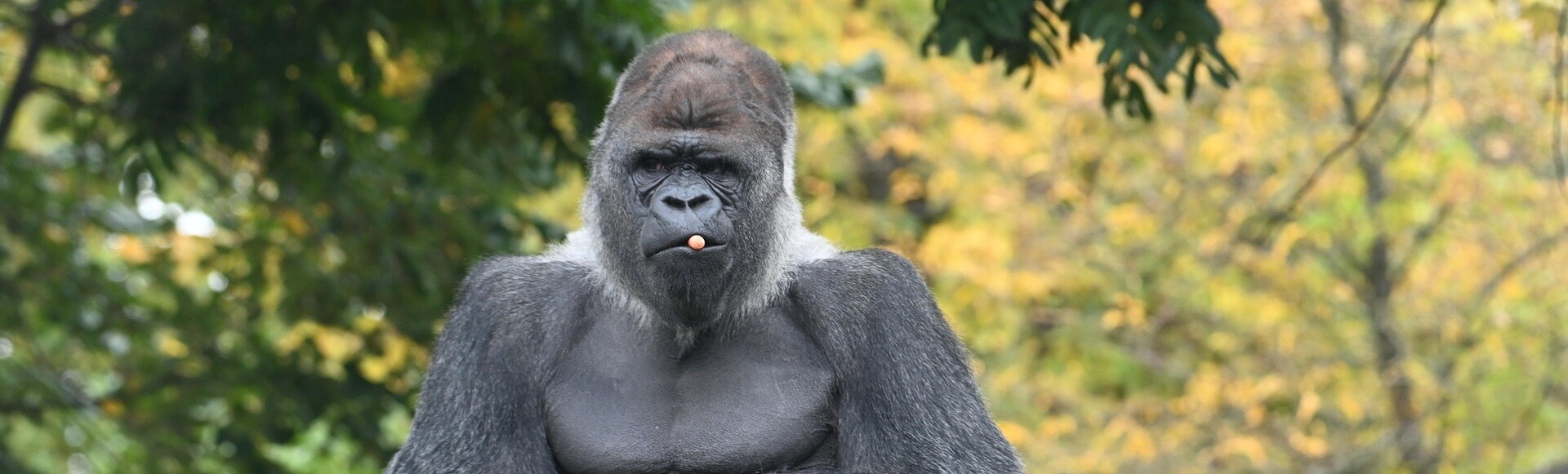 SEO Rotterdam | Online marketing yndenz