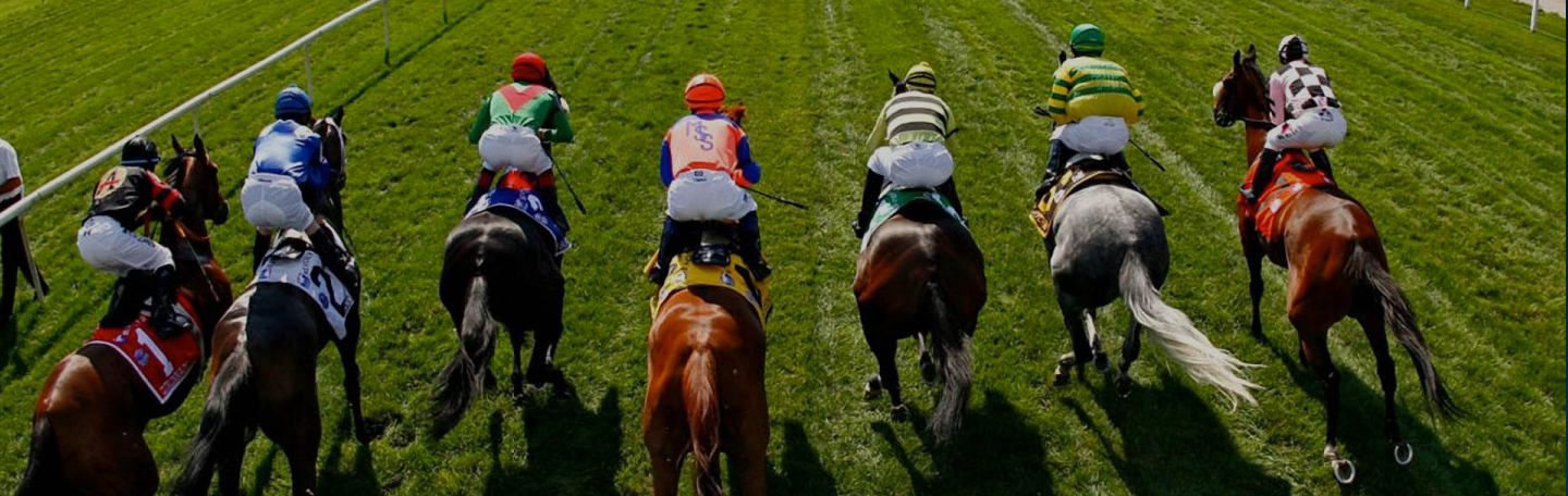 Streef concurrentie voorbij | yndenz Streef concurrentie voorbij | yndenz