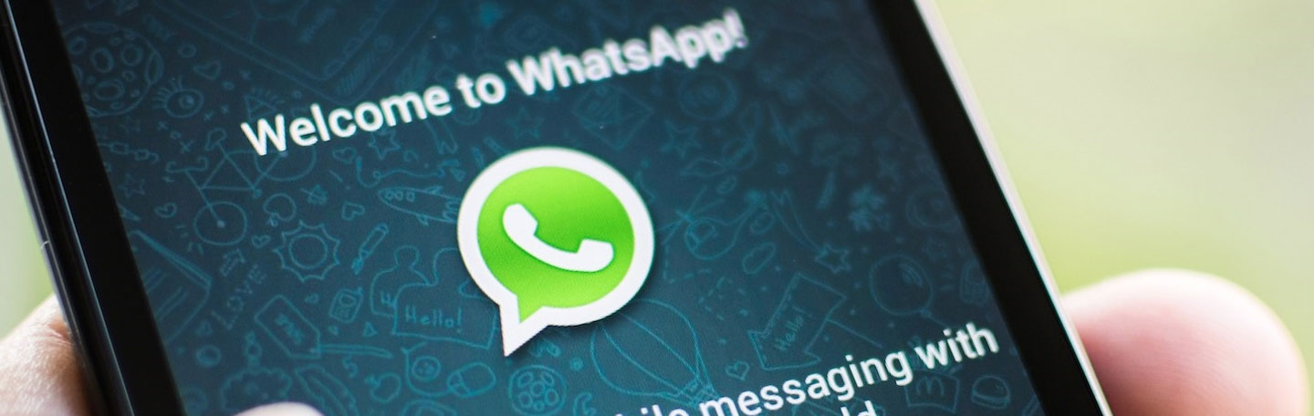 WhatsApp zakelijk inzetten | yndenz