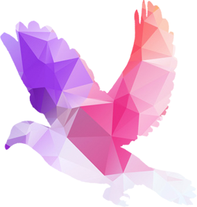 Lees het laatste online marketing nieuws van yndenz