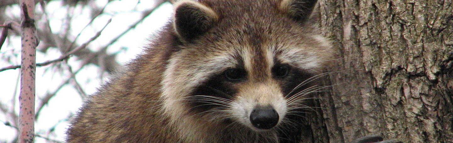 SEO Venlo | Online marketing bureau yndenz