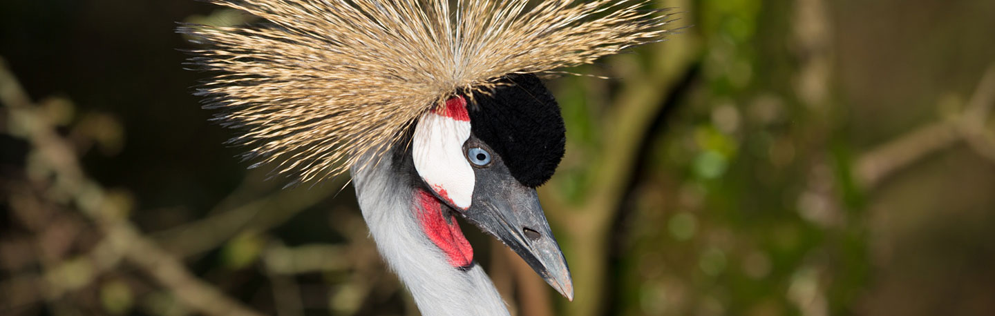 Online marketing Breda | SEO | yndenz