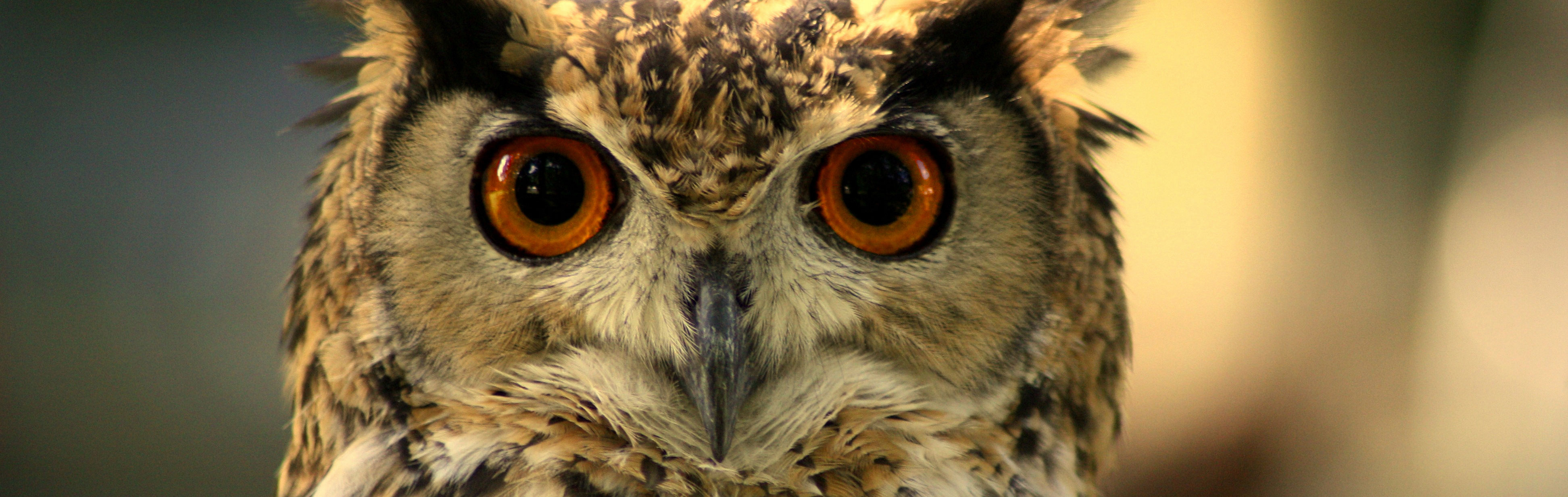 Online marketing Amersfoort | SEO | yndenz