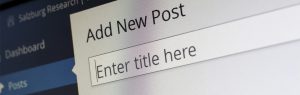 Lange content blogberichten nog steeds populair | Steenks Service